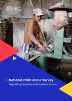 National child labour survey: reporting template abbreviated version