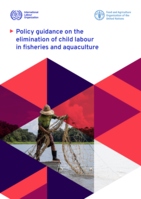 Policy guidance on the elimination of child labour in fisheries and aquaculture