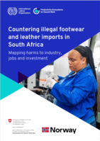 Countering illegal footwear and leather imports in South Africa: mapping harms to industry, jobs and investment
