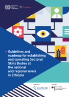 Guidelines and roadmap for establishing and operating Sectoral Skills Bodies at the national and regional levels in Ethiopia