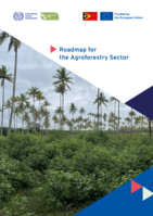 Roadmap for the agroforestry sector