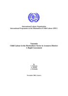 Tanzania: child labour in the horticulture sector in Arumeru district : a rapid assessment