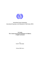 Sri Lanka: the commercial sexual exploitation of children : a rapid assessment