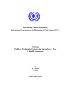 Tanzania: children working in commercial agriculture - tea :  a rapid assessment