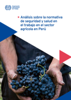 Análisis sobre la normativa de seguridad y salud en el trabajo en el sector agrícola en Perú