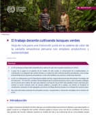 El trabajo decente cultivando bosques verdes: hoja de ruta para una transición justa en la cadena de valor de la castaña amazónica peruana con empleos productivos y sostenibilidad