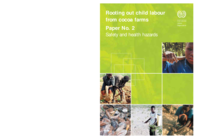 Rooting out child labour from cocoa farms: Paper no. 2, Safety and health hazards