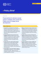 Fiscal policies to advance social justice: strategic entry points for trade unions to shape social development
