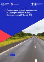 Employment impact assessment of Luangwa-Mwami Road, Zambia, using LFS and GIS