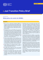 What policy mix works for MSMEs
