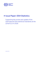 Issue paper: OSH statistics : supporting the review and update of the international OSH statistical standards at the 22nd ICLS in 2028