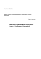 Measuring digital platform employment: country practices and approaches