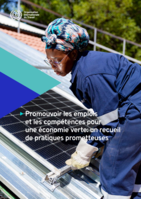 Promouvoir les emplois et les compétences pour une économie verte: un recueil de pratiques prometteuses
