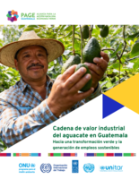 Cadena de valor industrial del aguacate en Guatemala: hacia una transformación verde y la generación de empleos sostenibles