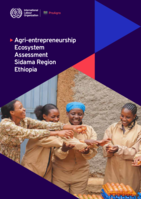 Agri-entrepreneurship ecosystem assessment Sidama Region, Ethiopia