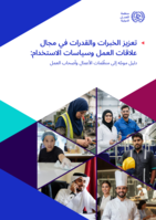 Strengthening expertise in labour relations and employment policies: a guide for employer and business membership organizations
