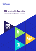 ESG leadership essentials: a sustainability training course for enterprises