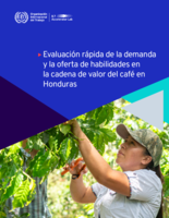 Evaluación rápida de la demanda y la oferta de habilidades en la cadena de valor del café en Honduras
