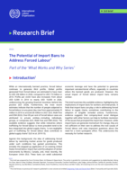 The potential of import bans to address forced labour