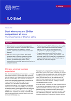 Start where you are: ESG for companies of all sizes : the importance of ESG for SMEs