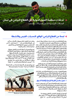 ILO interventions in Lebanon’s agricultural sector
