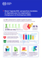 Mener l’agenda ESG: perspectives mondiales et régionales pour les organisations d’employeurs et d’entreprises (OEE)