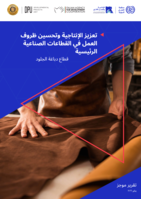 Enhancing productivity and improving working conditions in key industrial sectors in Egypt: leather tanning sector