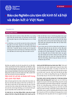 Mapping the social and solidarity economy in Viet Nam