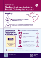 [The ILO's integrated approach in Brazil's açaí, Brazil nuts, cocoa, coffee, and gypsum supply chains]