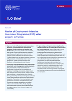 Review of Employment-Intensive Investment Programme (EIIP) water projects in Tunisia