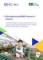 Strengthening MSME finance in Kosovo: a baseline study of a Sida guarantee to KCGF to support women-led enterprises, export-oriented businesses and green investments