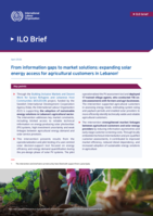 From information gaps to market solutions: expanding solar energy access for agricultural customers in Lebanon