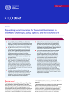 Expanding social insurance for household businesses in Viet Nam: challenges, policy options, and the way forward