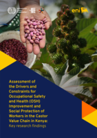 Assessment of the drivers and constraints for occupational safety and health (OSH) improvement and social protection of workers in the castor value chain in Kenya: key research findings