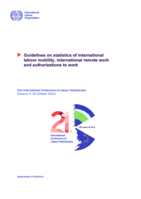 Guidelines on statistics of international labour mobility, international remote work and authorizations to work