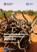 Updated methodology to quantify forest-sector employment: global and regional estimates