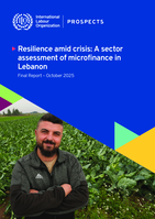Resilience amid crisis: a sector assessment of microfinance in Lebanon