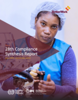 28th compliance synthesis report: Haiti : July 2024 - December 2024