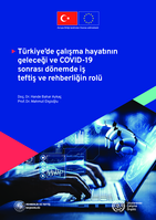 The role and future of labour inspection and guidance in the future of work and in post COVID-19 period in Türkiye