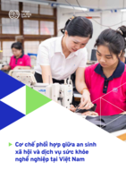 Coordination mechanisms between social protection and occupational health services in Viet Nam