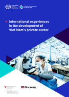 International experiences in the development of Viet Nam’s private sector