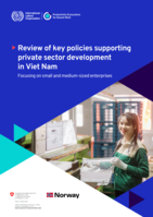 Review of key policies supporting private sector development in Viet Nam: focusing on small and medium-sized enterprises