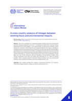 A cross-country analysis of linkages between working hours and environmental impacts
