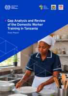 Gap analysis and review of the domestic worker training in Tanzania: study report