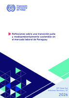 Reflexiones sobre una transición justa y medio ambientalmente sostenible en el mercado laboral de Paraguay