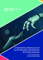 Lineamientos prácticos para el uso del big data e identificación de brechas laborales
