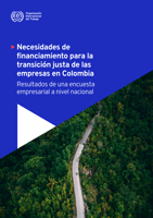 Necesidades de financiamiento para la transición justa de las empresas en Colombia: resultados de una encuesta empresarial a nivel nacional