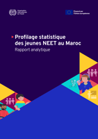 Profilage statistique des jeunes NEET au Maroc: rapport analytique
